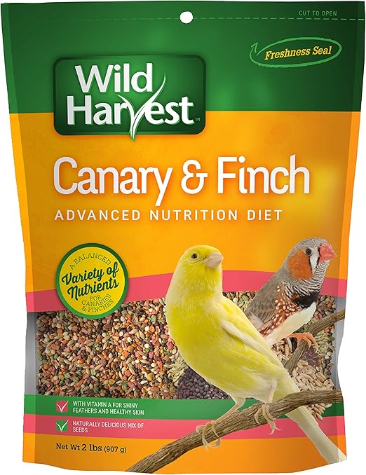 B12492Q-001 Canary and Finch Food Blend